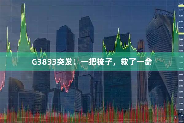 G3833突发！一把梳子，救了一命