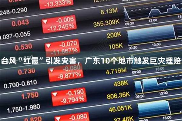 台风“红霞”引发灾害，广东10个地市触发巨灾理赔